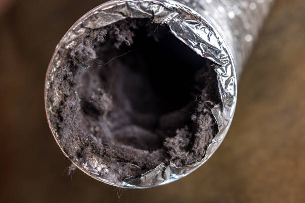 Best HVAC Maintenance and Cleaning  in Remerton, GA