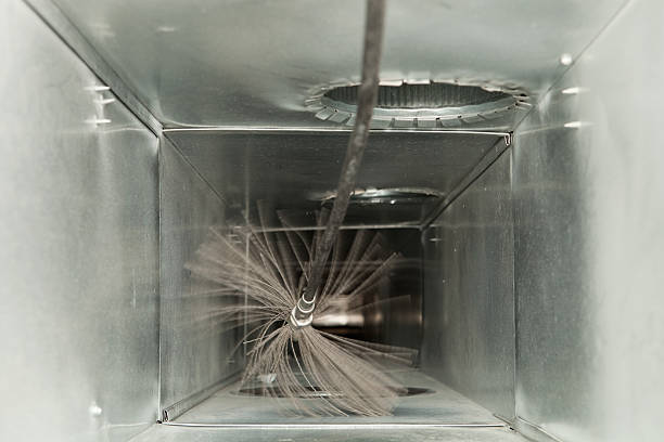 Best Dryer Vent Cleaning Services  in Remerton, GA