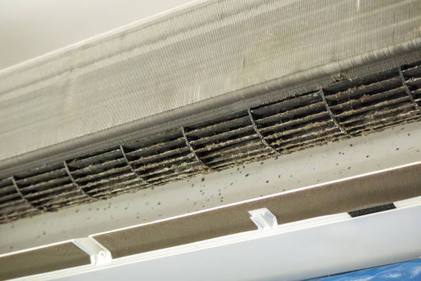 Best Ventilation Cleaning Services  in Remerton, GA