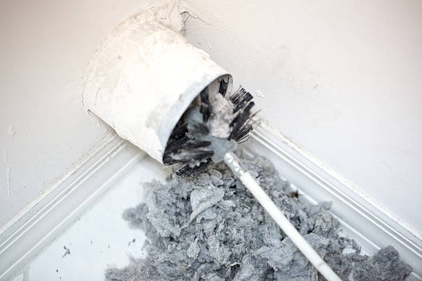 Best Ductwork Cleaning Services  in Remerton, GA